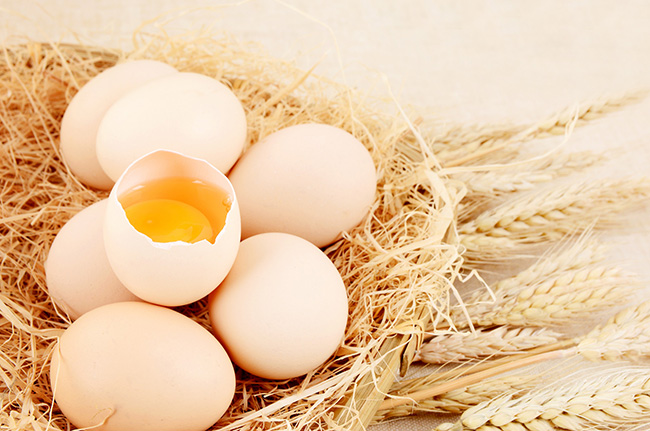 雞蛋檢測：氟苯尼考、恩諾沙星等獸藥殘留的解讀_廣電計量