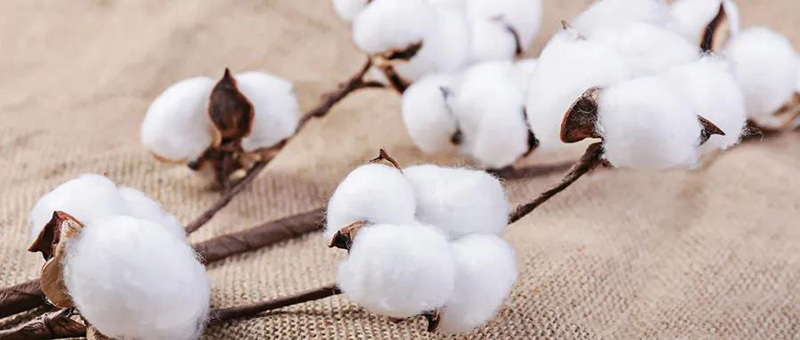 廣電計量紡織品檢測服務(wù),與您共同致力國貨質(zhì)量提升。